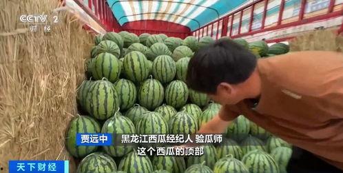 娱乐吃瓜718入口,718入口带你吃遍热门瓜料  第2张